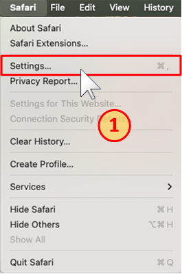 safari1